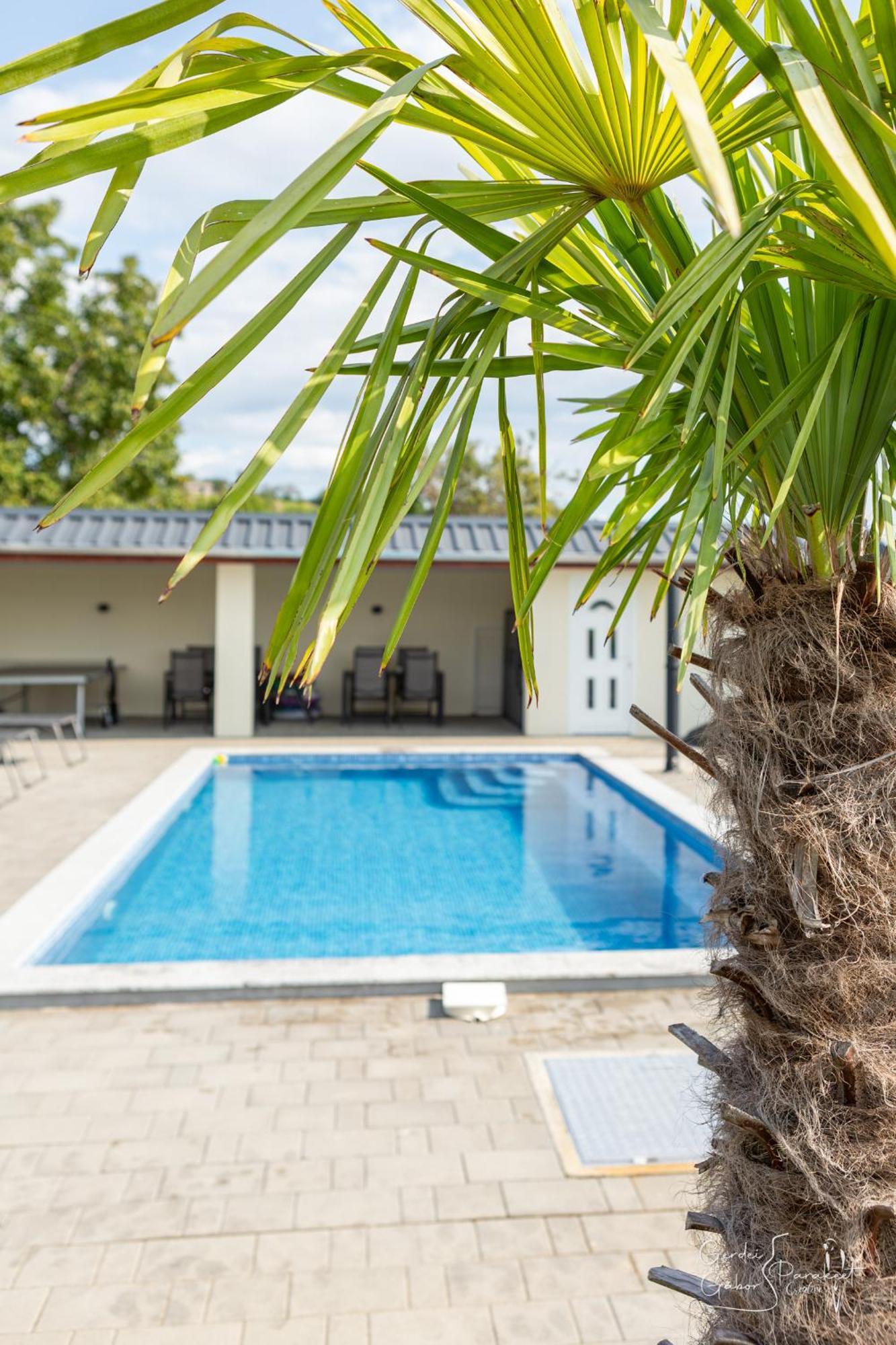 Ludvig Panzio Bed & Breakfast Villany Bagian luar foto